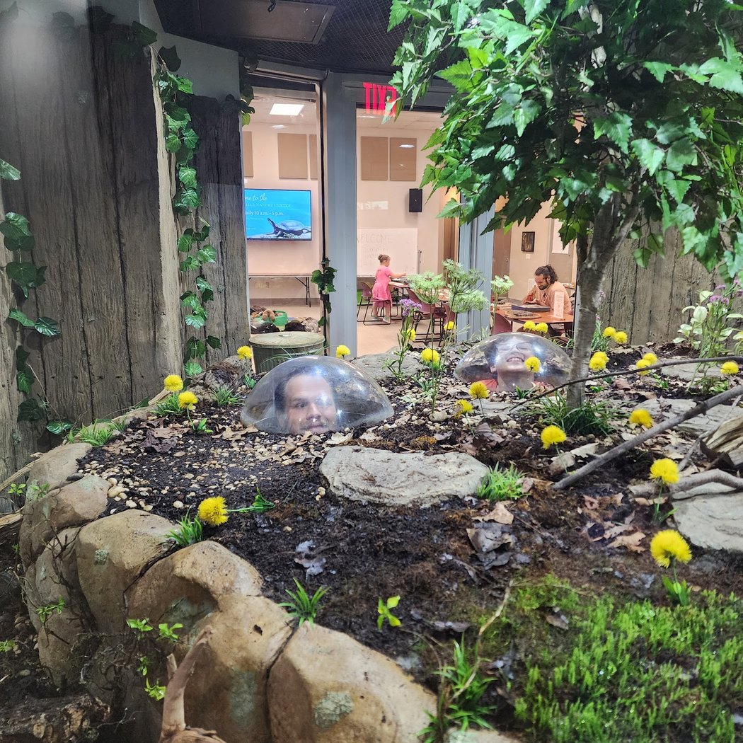 Nature Tots: Flowers 1